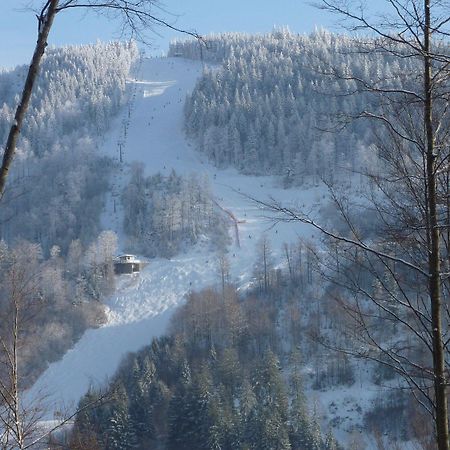 Hotel Lawine Todtnau Eksteriør bilde